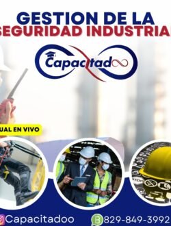 Gestión de Seguridad Industrial