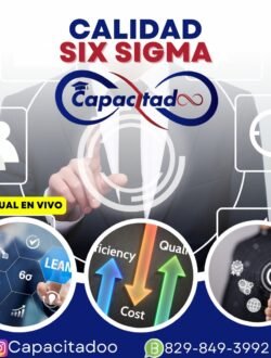 Calidad Six Sigma