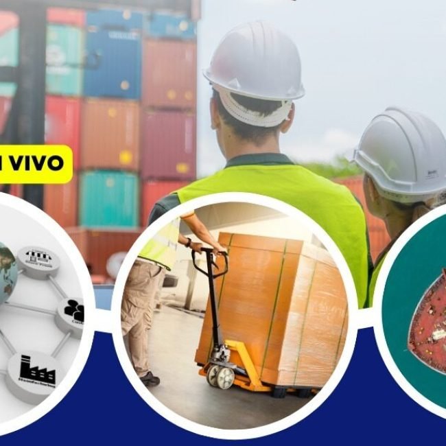 Gestión de la Cadena de Suministro